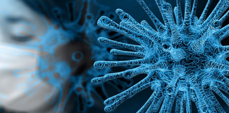 Wessen Virus ist das? Die Schockwellen einer einzigen Wahrheit 1 virus